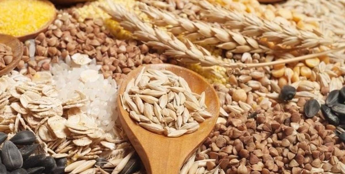 Küresel Gıda İthalatında Şok Zirve: 2 Trilyon Doları Aşan Tarihi Eşik! 2 kuresel-gida-ithalatinda-sok-zirve-2-trilyon-dolari-asan-tarihi-esik-e6AzS5Yv.jpg