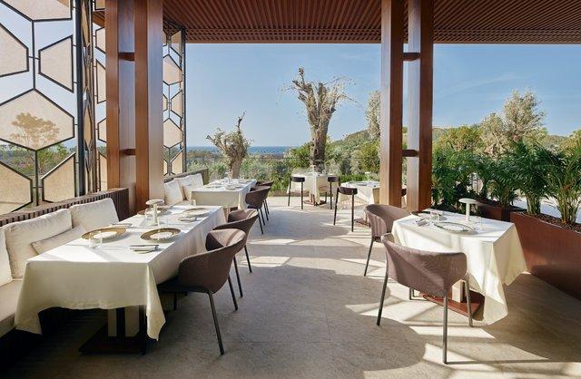 Michelin 2025: İstanbul, İzmir ve Muğla'nın Gurme Cennetleri Açığa Çıkıyor! 19 Michelin 2025: İstanbul, İzmir ve Muğla'nın Gurme Cennetleri Açığa Çıkıyor!