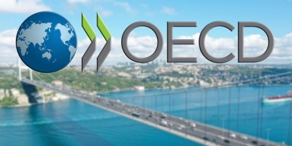 OECD’den Şok Tahmin: Türkiye’nin 2024 Yılı TÜFE Beklentisi Zirveye Çıkıyor!