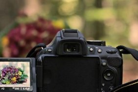 Getty Images ve Shutterstock'tan 3,7 Milyar Dolarlık Tarihi Birleşme: Görsel Dünyasında Devrim! 1 getty-images-ve-shutterstocktan-37-milyar-dolarlik-tarihi-birlesme-gorsel-dunyasinda-devrim-JUzegP6F.jpg