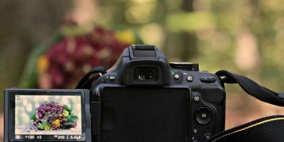 Getty Images ve Shutterstock’tan 3,7 Milyar Dolarlık Tarihi Birleşme: Görsel Dünyasında Devrim!