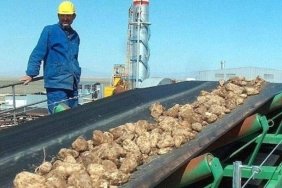 İğdır Şeker Fabrikası'nın Satışı İçin ÖİB'den Şok Onay! Şeker Rüzgarı Esti! 9 igdir-seker-fabrikasinin-satisi-icin-oibden-sok-onay-seker-ruzgari-esti-CsvYOCel.jpg