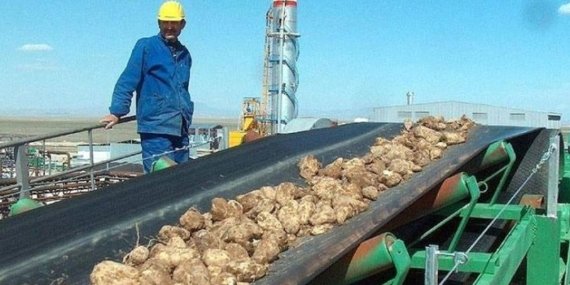 İğdır Şeker Fabrikası’nın Satışı İçin ÖİB’den Şok Onay! Şeker Rüzgarı Esti!