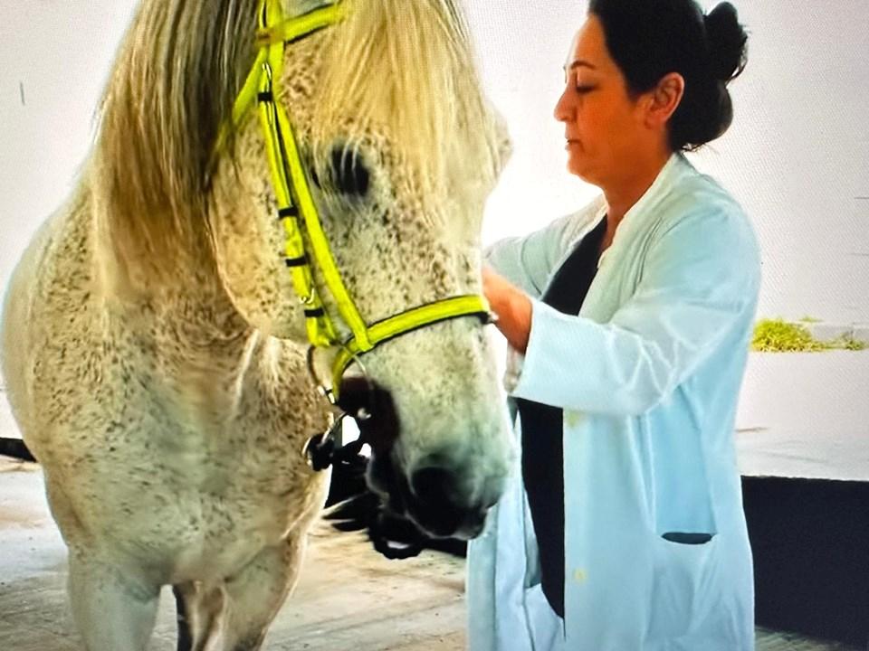 İstanbul'da Eşsiz Bir Hastane: Kobra, Tarantula, Iguana, Piton ve Diğer İlginç Misafirler 4 İstanbul'da Eşsiz Bir Hastane: Kobra, Tarantula, Iguana, Piton ve Diğer İlginç Misafirler