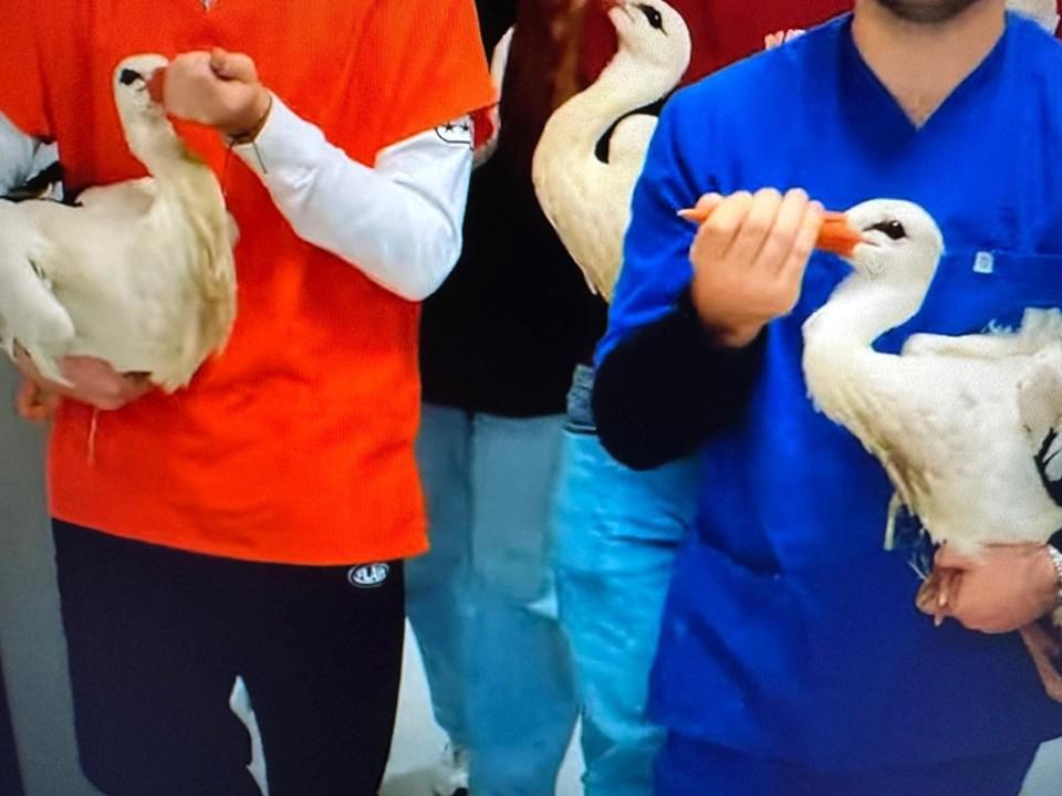 İstanbul'da Eşsiz Bir Hastane: Kobra, Tarantula, Iguana, Piton ve Diğer İlginç Misafirler 6 İstanbul'da Eşsiz Bir Hastane: Kobra, Tarantula, Iguana, Piton ve Diğer İlginç Misafirler