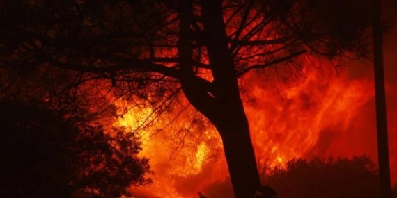 Los Angeles’taki Yangınların Faturasını Kim Ödeyecek? Maliyetler Tavan Yapıyor!