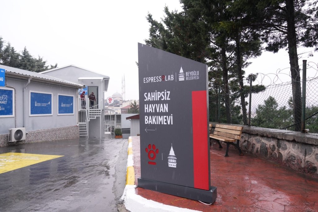 Sahipsiz Hayvan Bakımevi, Beyoğlu Belediyesi ile Espressolab iş birliğinde hizmete açıldı. 6 Sahipsiz Hayvan Bakımevi, Beyoğlu Belediyesi ile Espressolab iş birliğinde hizmete açıldı.