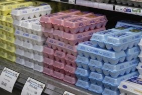 ABD'de Yumurta Krizi Patlak Verdi: Marketlerde Kişi Başına Sadece 3 Koli Sınırı! 3 abdde-yumurta-krizi-patlak-verdi-marketlerde-kisi-basina-sadece-3-koli-siniri-npiCyvym.jpg