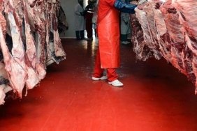Maliye, Kırmızı Et Sektöründe Kayıt Dışı Faaliyetlere Savaş Açtı! 14 maliye-kirmizi-et-sektorunde-kayit-disi-faaliyetlere-savas-acti-GOfEkfCd.jpg
