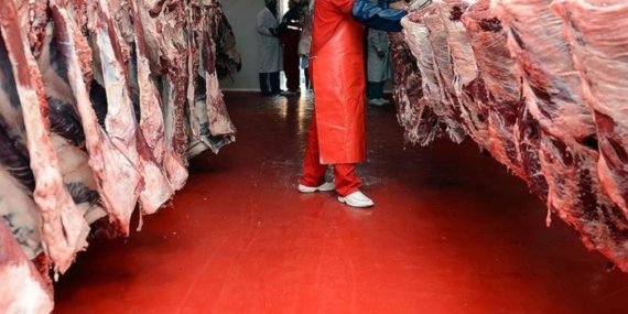 Maliye, Kırmızı Et Sektöründe Kayıt Dışı Faaliyetlere Savaş Açtı!