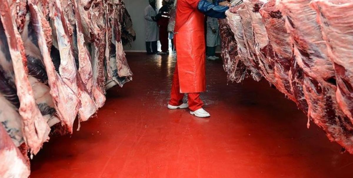 Maliye, Kırmızı Et Sektöründe Kayıt Dışı Faaliyetlere Savaş Açtı! 2 maliye-kirmizi-et-sektorunde-kayit-disi-faaliyetlere-savas-acti-GOfEkfCd.jpg