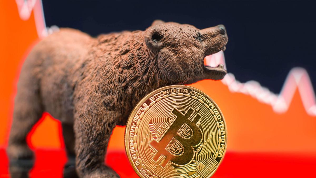 Bitcoin Madenciliği ETF'si 2025’in En Kötü Performans Gösteren Fonlarından Biri Oldu 2 bitcoin-madenciligi-etfsi-2025in-en-kotu-performans-gosteren-fonlarindan-biri-oldu-1T4STHv5.jpg