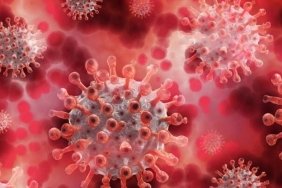 DSÖ'ye Göre Ölümcül Virüs Dünyayı Sarıyor: Korkunç Yayılma Hızıyla Fırtına Gibi Geliyor! 8 dsoye-gore-olumcul-virus-dunyayi-sariyor-korkunc-yayilma-hiziyla-firtina-gibi-geliyor-JZIHjufM.jpg