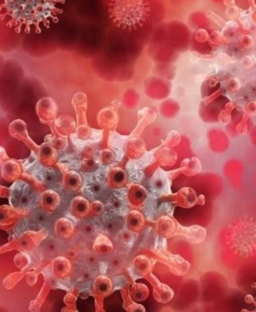 DSÖ'ye Göre Ölümcül Virüs Dünyayı Sarıyor: Korkunç Yayılma Hızıyla Fırtına Gibi Geliyor! 7 dsoye-gore-olumcul-virus-dunyayi-sariyor-korkunc-yayilma-hiziyla-firtina-gibi-geliyor-JZIHjufM.jpg