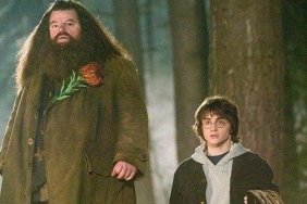 Harry Potter Evreninin En Gizemli Karakteri Hagrid'in Yeni Yüzü Açıklandı! Bu Detayları Kaçırmayın! 4 harry-potter-evreninin-en-gizemli-karakteri-hagridin-yeni-yuzu-aciklandi-bu-detaylari-kacirmayin-nmSXwWKW.jpg