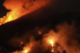 Japonya'nın Külleri: 144 Saat Süren Orman Yangını 2,100 Hektarı Alevlere Teslim Etti! 5 japonyanin-kulleri-144-saat-suren-orman-yangini-2100-hektari-alevlere-teslim-etti-b5mrTg4T.jpg