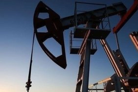 mapeg-seyl-enerjinin-bitlis-ve-siirtteki-petrol-arama-basvurusunu-reddetti-5t6U4XEE.jpg