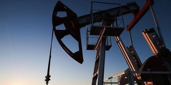 MAPEG, Seyl Enerji’nin Bitlis ve Siirt’teki Petrol Arama Başvurusunu Reddetti