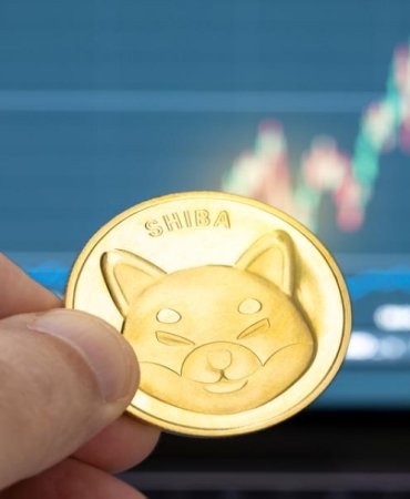 Shiba Inu yatırımcıları için umut ışığı balina alımları yeniden zirveye ulaştı 5 shiba-inu-yatirimcilari-icin-umut-isigi-balina-alimlari-yeniden-zirveye-ulasti-PU3O6aIl.jpg