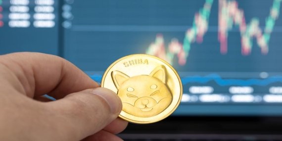 Shiba Inu yatırımcıları için umut ışığı balina alımları yeniden zirveye ulaştı