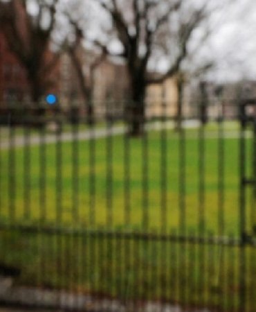 ABD’de 500’den Fazla Yabancı Öğrencinin Vizesi İptal Edildi 10 abdde-500den-fazla-yabanci-ogrencinin-vizesi-iptal-edildi-FBpn5kRE.jpg