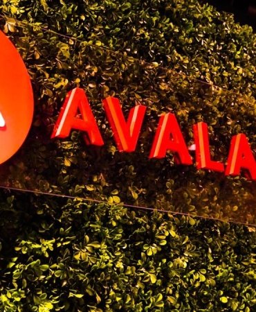Avalanche (AVAX), Bitcoin ve Ethereum'u Sollayabilir mi? Standard Chartered'tan 2029 İçin 250 Dolarlık Tahmin 2 avalanche-avax-bitcoin-ve-ethereumu-sollayabilir-mi-standard-charteredtan-2029-icin-250-dolarlik-tahmin-gzIp2t4r.jpg