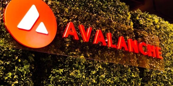 Avalanche (AVAX), Bitcoin ve Ethereum’u Sollayabilir mi? Standard Chartered’tan 2029 İçin 250 Dolarlık Tahmin