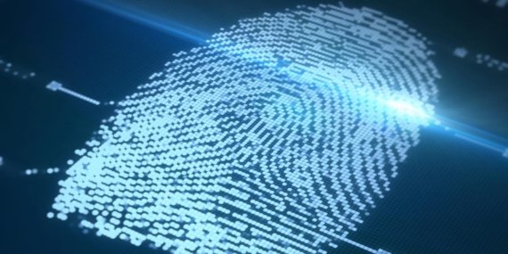 Cardano Foundation Dijital Kimlik Platformu Veridian’ı Tanıttı
