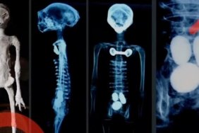 CIA Belgesinde Şok Edici UFO İddiası: 23 Sovyet Askeri Taşa Dönüştü 10 cia-belgesinde-sok-edici-ufo-iddiasi-23-sovyet-askeri-tasa-donustu-81e4qyIU.jpg