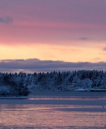 Finlandiya Kömürle Vedalaştı: Temiz Enerji Devrimi 4 Yıl Erken Geldi 8 finlandiya-komurle-vedalasti-temiz-enerji-devrimi-4-yil-erken-geldi-Y7LfYGuv.jpg