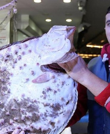 Ordu'da Kalkan Bereketi: Tezgahlar Doldu, Fiyatlar Düştü 4 orduda-kalkan-bereketi-tezgahlar-doldu-fiyatlar-dustu-gwL33Y5b.jpg
