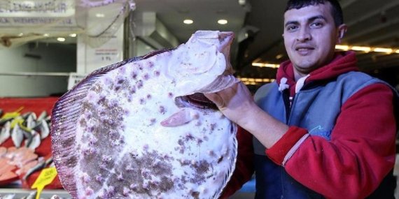 Ordu’da Kalkan Bereketi: Tezgahlar Doldu, Fiyatlar Düştü