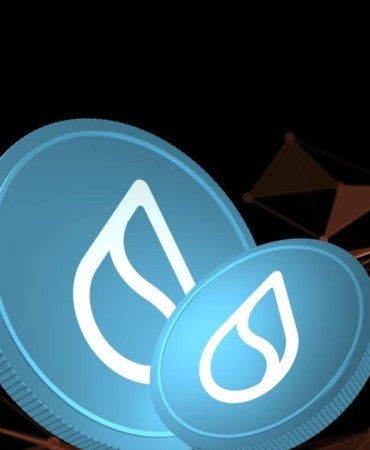 Sui (SUI) Uçuşa Geçti! Dev Rallinin Arkasında Hangi Güçlü Veriler Yatıyor? 4 sui-sui-ucusa-gecti-dev-rallinin-arkasinda-hangi-guclu-veriler-yatiyor-CIhD2eq1.jpg