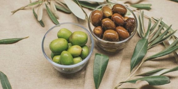 Türkiye sofralık zeytin üretiminde dünyada ilk sırada, hedef ağaç sayısı bakımından da zirveye yerleşmek