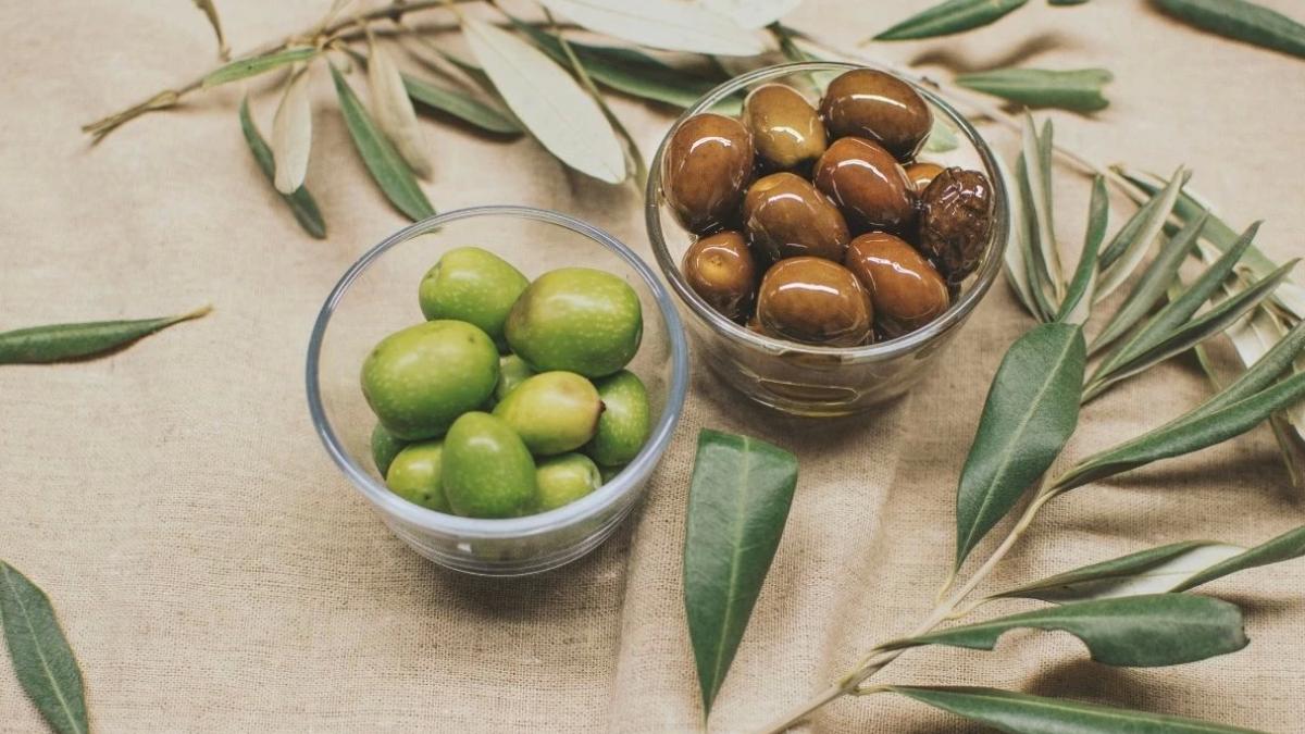 Türkiye sofralık zeytin üretiminde dünyada ilk sırada, hedef ağaç sayısı bakımından da zirveye yerleşmek 2 turkiye-sofralik-zeytin-uretiminde-dunyada-ilk-sirada-hedef-agac-sayisi-bakimindan-da-zirveye-yerlesmek-YLrDPSqV.jpg