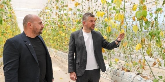 Buca Belediyesi’nin serasına sabotaj! Büyük zarar tarım üretimi hedef alındı