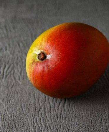 Mango Markets davasında flaş karar: 110 milyon dolarlık kripto manipülasyonu suç sayılmadı 5 mango-markets-davasinda-flas-karar-110-milyon-dolarlik-kripto-manipulasyonu-suc-sayilmadi-A144WqjN.jpg