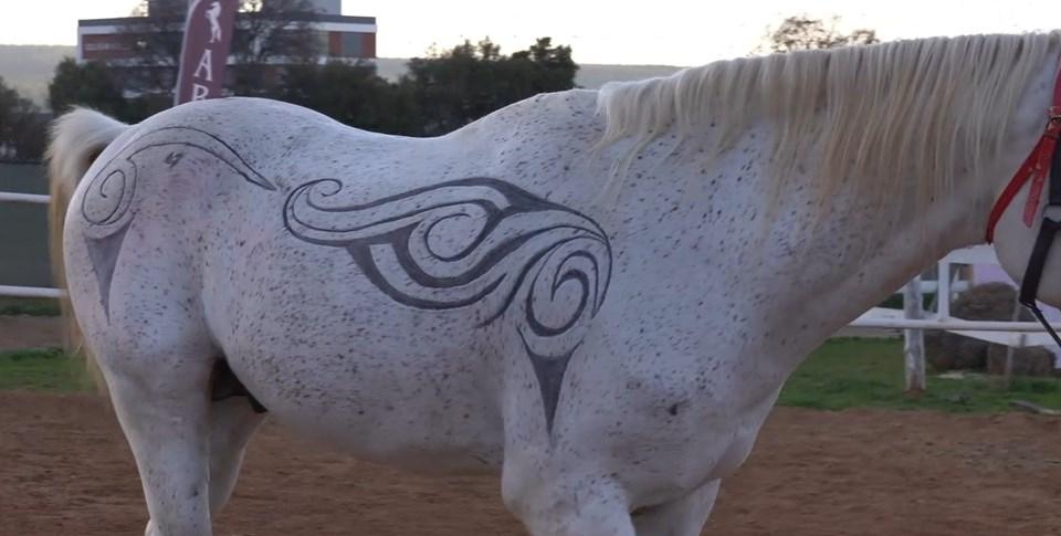 Sosyal Medyada Göz Kamaştıran Akım: Türkiye'de Daha Önce Denenmemiş Bir Yenilikle Tanışın! 1 Binlerce Yıllık Kabile Mirasını Yansıtan Tribal Kesim Sanatı