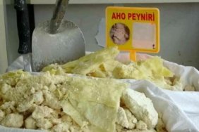 Aho Peyniri Araklı'nın Gururu Olmaya Hazırlanıyor 1 aho-peyniri-araklinin-gururu-olmaya-hazirlaniyor-HSNVPz23.jpg