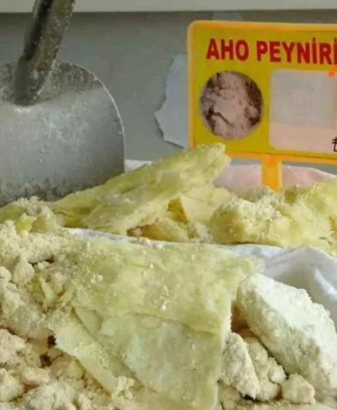 Aho Peyniri Araklı'nın Gururu Olmaya Hazırlanıyor 9 aho-peyniri-araklinin-gururu-olmaya-hazirlaniyor-HSNVPz23.jpg