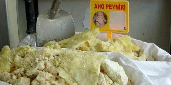 Aho Peyniri Araklı’nın Gururu Olmaya Hazırlanıyor