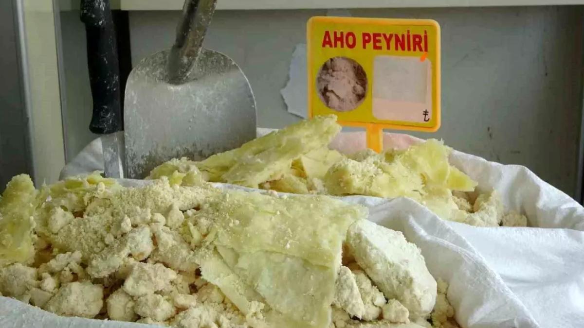 Aho Peyniri Araklı'nın Gururu Olmaya Hazırlanıyor 2 aho-peyniri-araklinin-gururu-olmaya-hazirlaniyor-HSNVPz23.jpg