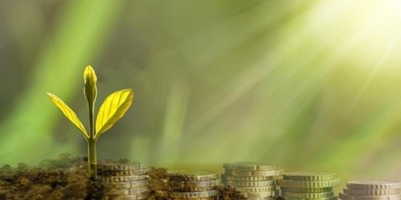 Elektrik dağıtım sektörüne yeşil dönüşüm için finansman çağrısı