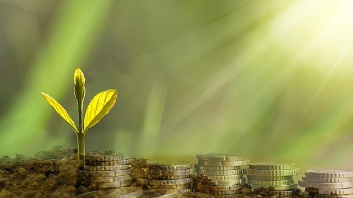 Elektrik dağıtım sektörüne yeşil dönüşüm için finansman çağrısı 2 elektrik-dagitim-sektorune-yesil-donusum-icin-finansman-cagrisi-YUQBQAJu.jpg