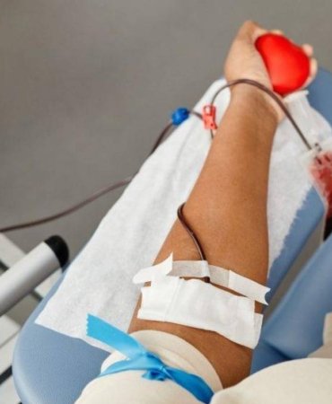 Kan Bağışı Kansızlık Yapar mı? Uzmanlar Uyardı: Doğru Şartlarda Verilen Kan, Sağlığa Zararlı Değil 5 kan-bagisi-kansizlik-yapar-mi-uzmanlar-uyardi-dogru-sartlarda-verilen-kan-sagliga-zararli-degil-gY2GvYXp.jpg
