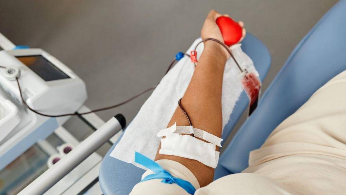 Kan Bağışı Kansızlık Yapar mı? Uzmanlar Uyardı: Doğru Şartlarda Verilen Kan, Sağlığa Zararlı Değil 2 kan-bagisi-kansizlik-yapar-mi-uzmanlar-uyardi-dogru-sartlarda-verilen-kan-sagliga-zararli-degil-gY2GvYXp.jpg