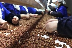 rekabet-kurumundan-findik-piyasasina-uyari-ferrero-mudahale-fiyatinin-altinda-alim-yapamayacak-edBkC7xy.jpg