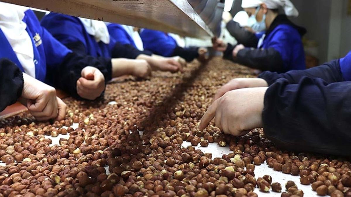Rekabet Kurumu’ndan Fındık Piyasasına Uyarı: Ferrero, Müdahale Fiyatının Altında Alım Yapamayacak 2 rekabet-kurumundan-findik-piyasasina-uyari-ferrero-mudahale-fiyatinin-altinda-alim-yapamayacak-edBkC7xy.jpg
