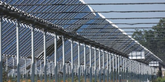 Tarımda kriz büyüyor ama çözüm güneşte