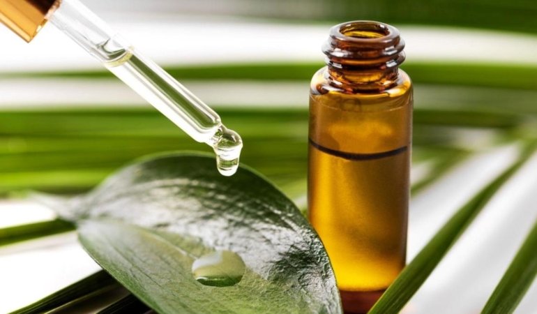 Ağız yaralarına iyi geliyor: Güçlü antiseptik etkisi var 6 agiz-yaralarina-iyi-geliyor-guclu-antiseptik-etkisi-var-p6VmXdjr.jpg